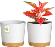 Set di 2 Vasi per Piante in Plastica con Fessure di Drenaggio e Saucer Rimovibile da 25cm per Casa Giardino Nastro di Finestra (Set Bianco)