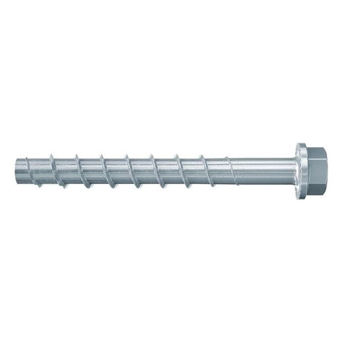 Fischer 536862 100 mm 50 pz Vite