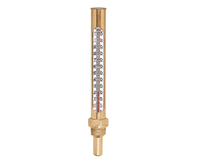 TERMOMETRO IN CUSTODIA 1/2 GRADI 0  °C-120  °C   CALEFFI SPA