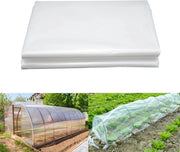 Foglia trasparente in polietilene 3m x 6m, copertura impermeabile per giardini di verdura