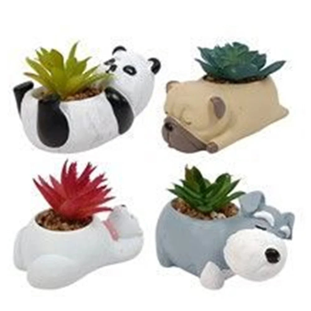 Trade Shop - Set 12pz Vaso Portafiori A Forma Di Animaletto Sdraiato Con Pianta Grassa 4 Modelli 660959 -