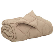 Piumone | Duvet Completo Annuale Talpa 200 x 200 cm Microfibra