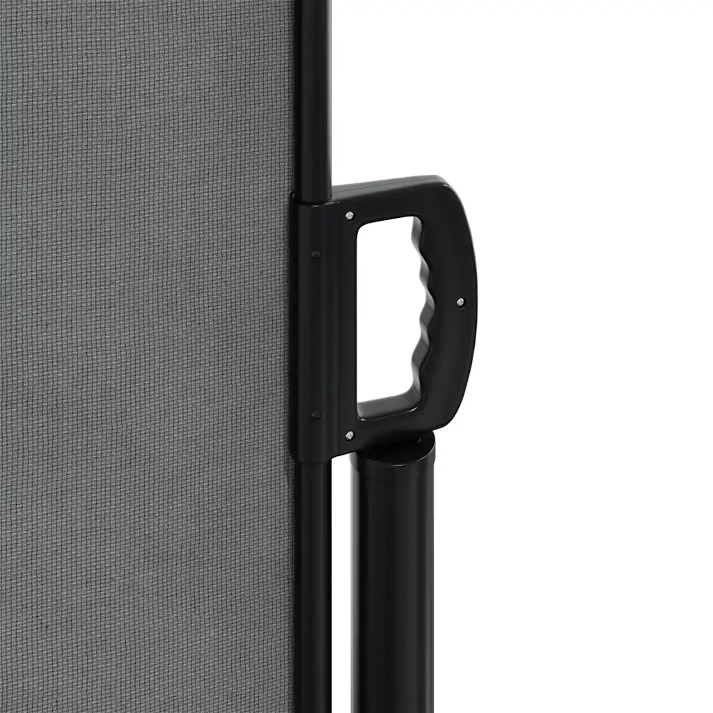 Tenda da sole laterale retrattile antracite 100x300 cm 4004278