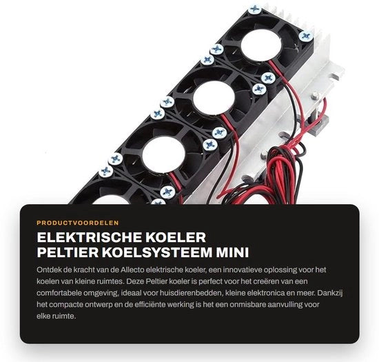 Sistema di raffreddamento elettrico a pompa di calore Peltier - Mini condizionatore d'aria 12V - Raffreddamento per dispositivi domestici