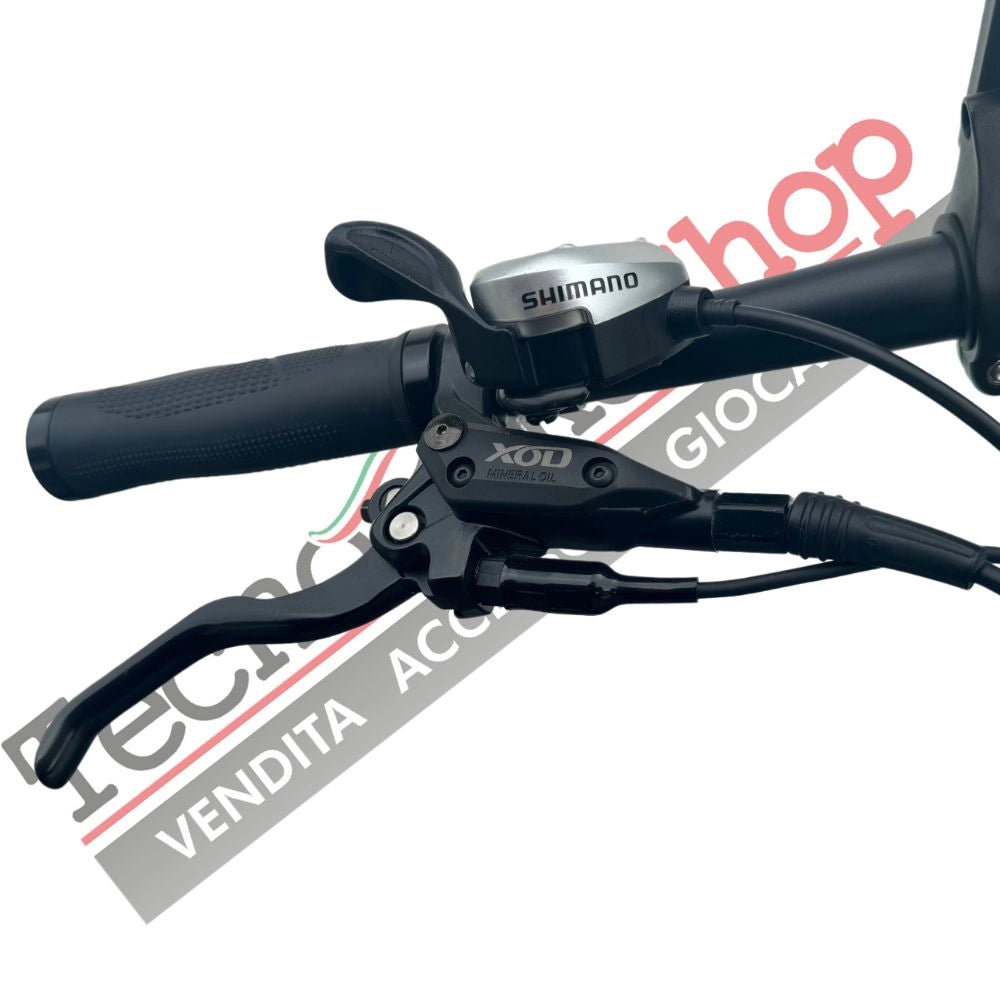 Bici Elettrica Pieghevole E-BIKE Fat Bike RKS RD08 Sport Bike Dallas Luxury 250w 48v-Rosso