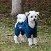 Reggiserviette per cani, impermeabile con cappuccio, reggiserviette con foro per cintura, nastro riflettente per cani piccoli e medi, abbigliamento per cuccioli leggero (blu, XL)