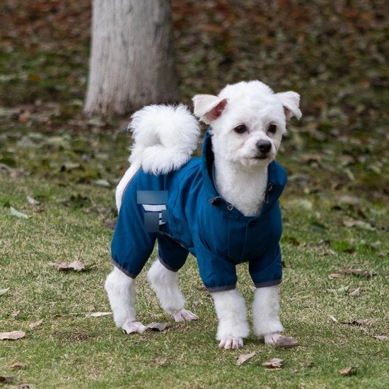 Reggiserviette per cani, impermeabile con cappuccio, reggiserviette con foro per cintura, nastro riflettente per cani piccoli e medi, abbigliamento per cuccioli leggero (blu, XL)
