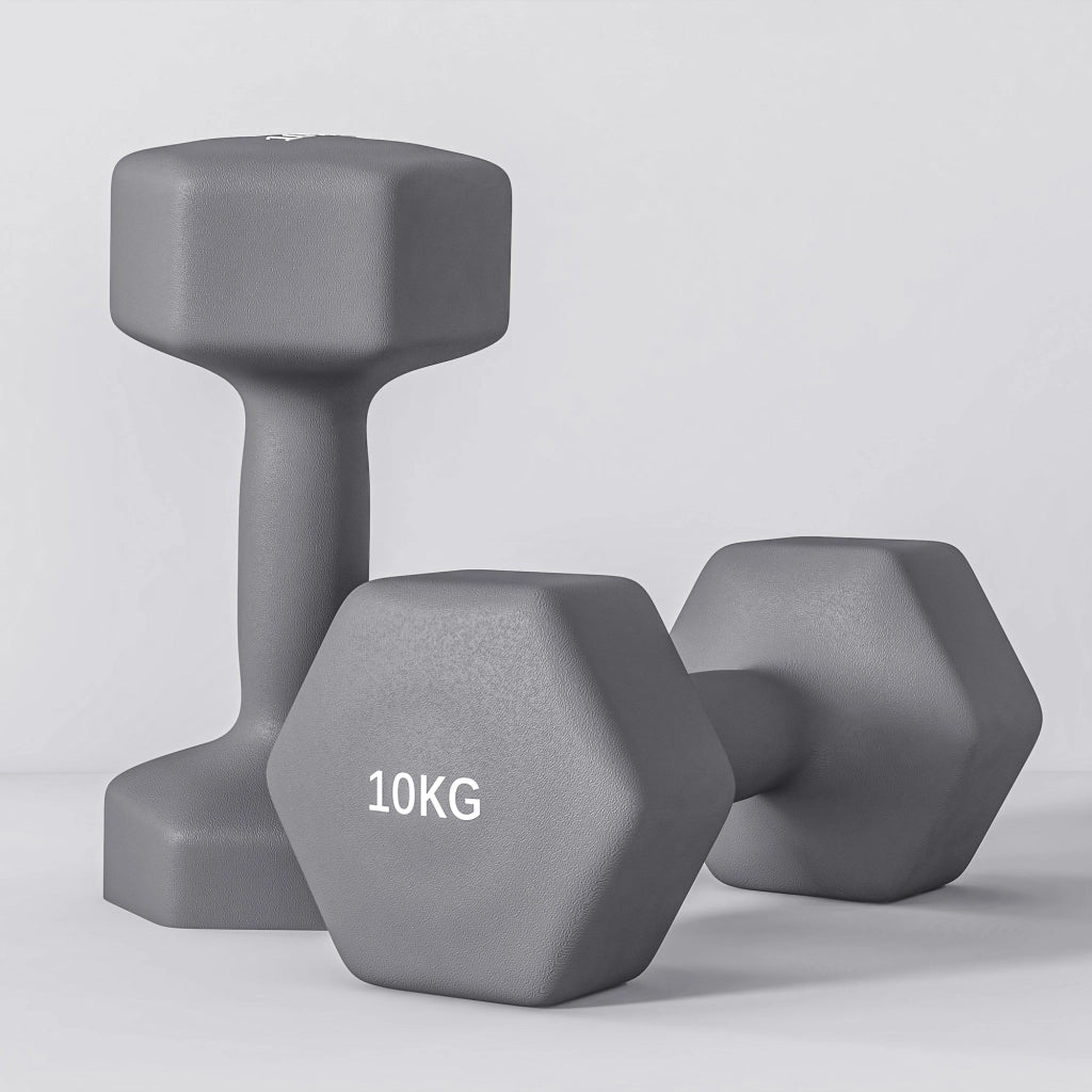 Manubri Esagonali 2x10 kg ¨C zephmum ¨C Grigio Metallo Plastica 26x12x12 cm