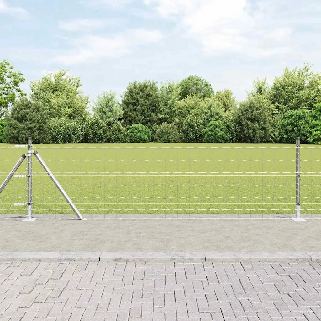 Recinzione con Posto Argento 0,6 x 25 m Acciaio
