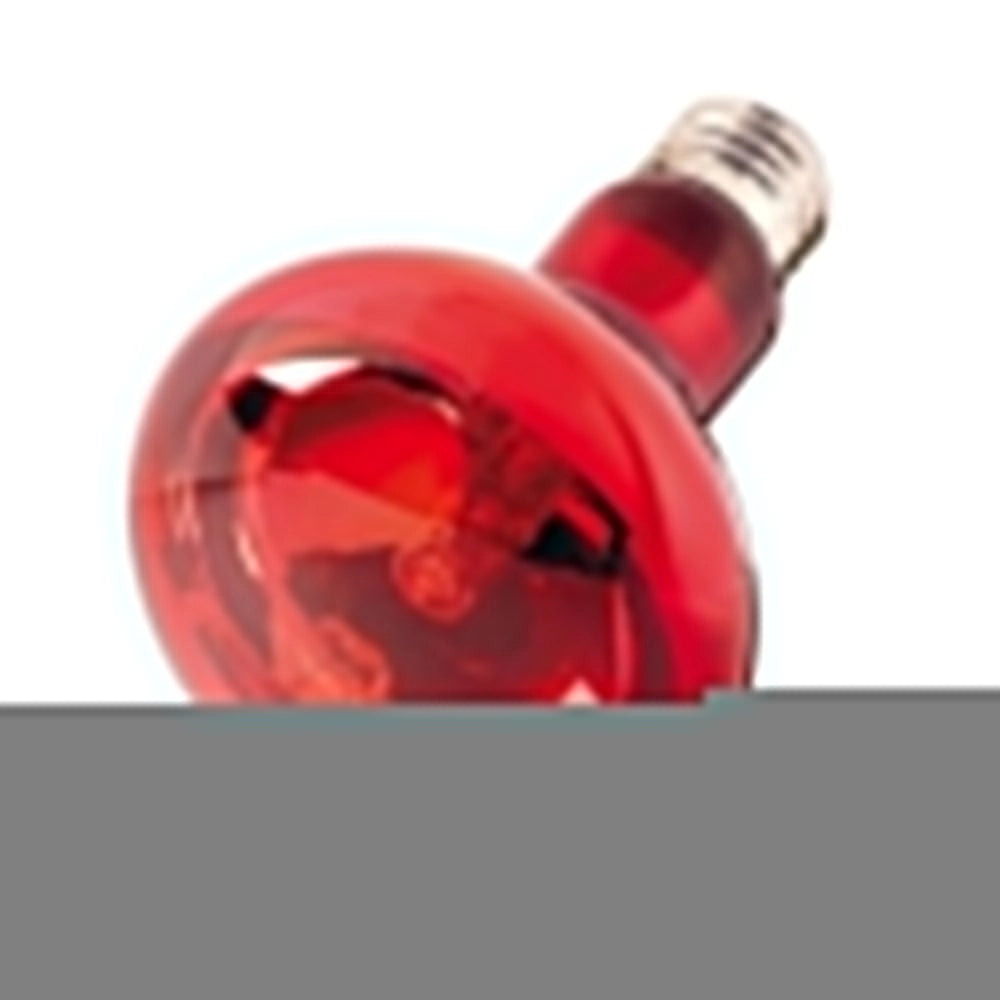 Hobby Infrared Light - Lampada a Raggi Infrarossi Wattaggio Riscaldatori e lampade terrario: 60W