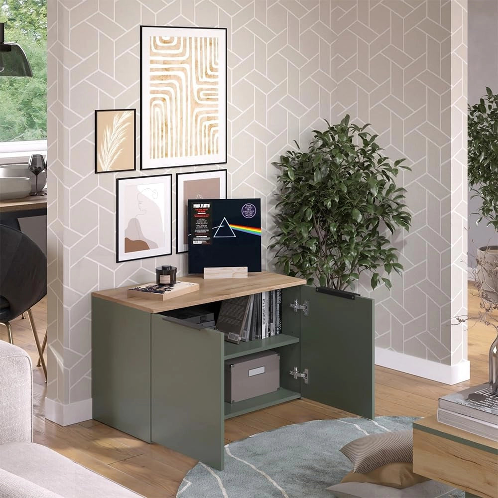 Credenza Wido, Verde, 80 x 50 cm con 2 porte, adatto per riporre abiti e oggetti per la casa