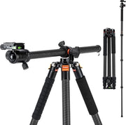 Stativo per fotocamera a fibra di carbonio 75 pollici con testa a sfera 360° e piatto di connessione rapida per fotocamera DSLR e videocamera