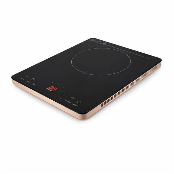 Fornello Piastra ad Induzione Iridea Champagne 2000 Watt Tognana