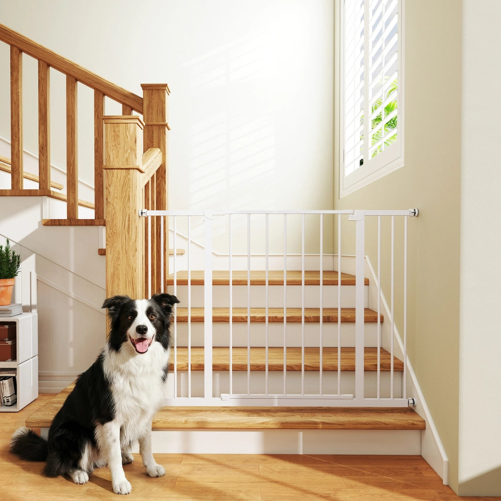 Cancellino per Cani Estensibile ¨C zephmum ¨C Metallo e Plastica Bianco 76-107 cm