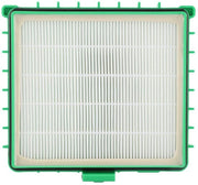 Filtro HEPA Nuovo - Filtro per Aspirapolvere - Pezzo di Ricambio - Carbone Attivo - Adatto per RO4421/RO4427 - 172x160x40 mm