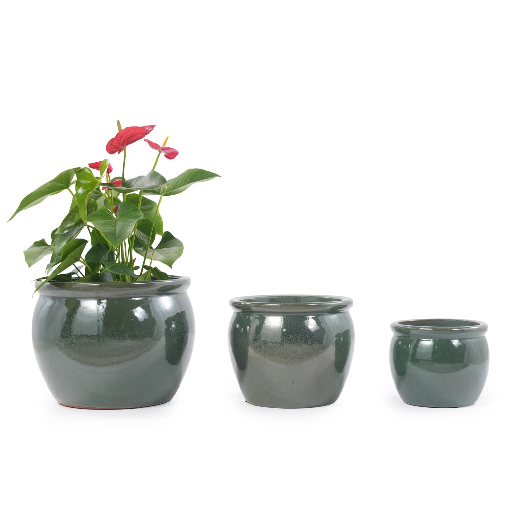 Vaso per piante in ceramica ¨C Minimal ¨C ? 30 cm blu verde antico lucido per balcone giardino