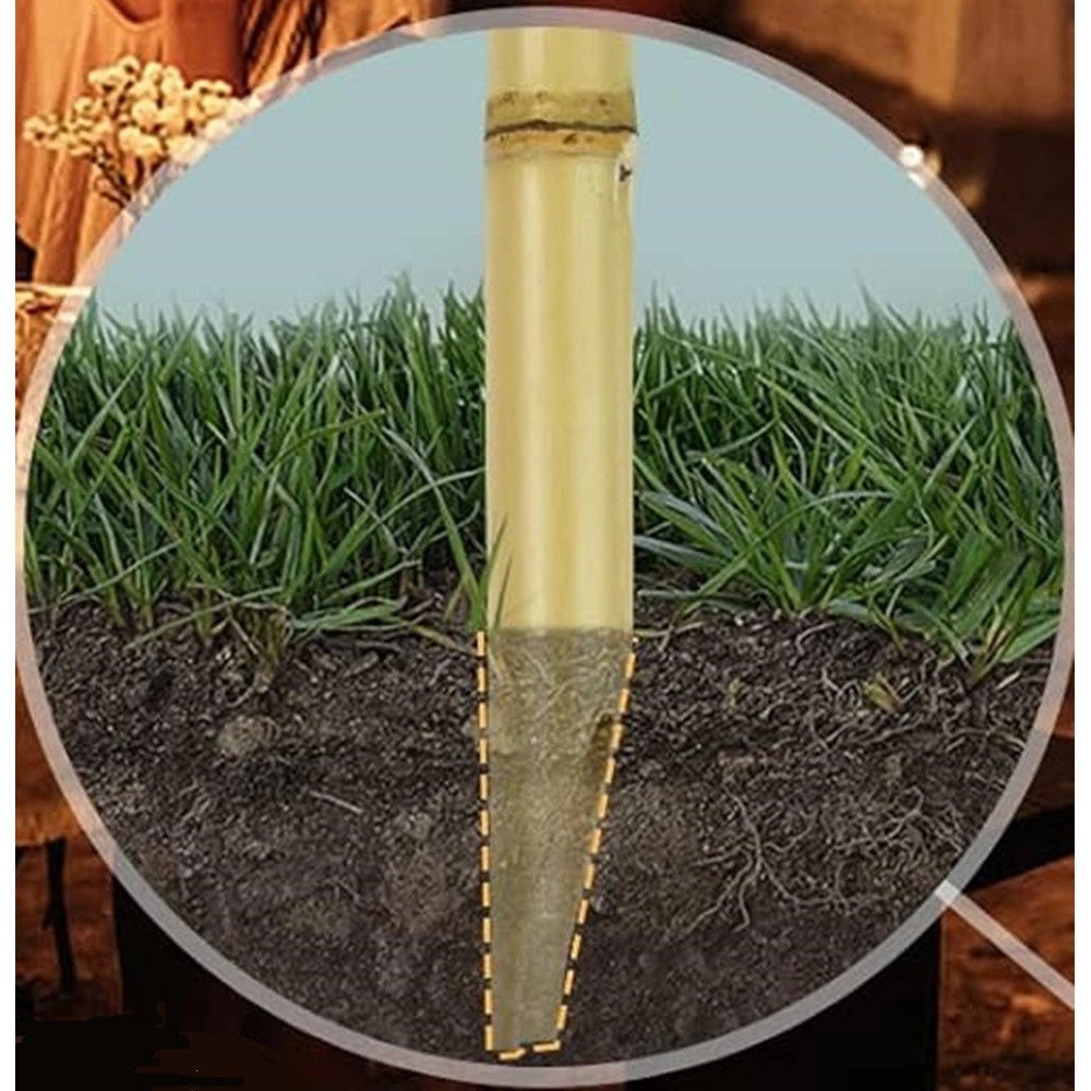 Trade Shop - Set 6 Pz Torcia In Bambù Naturale 60 Cm Da Giardino Per Esterni Con Stoppino 011842 -