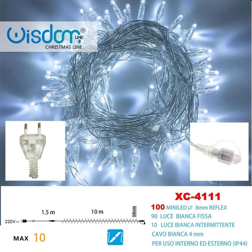 Trade Shop - Catena Luminosa 100luci Led Lucciole Bianco Fisso + Bianco Intermittente Xc-4111 -