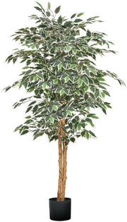 Ficus artificiale 150 cm con vaso nero, alta pianta d'arte con tronco di legno naturale e foglie di verde vivo, ideale per la decorazione interna in case, uffici, salotti o angoli.