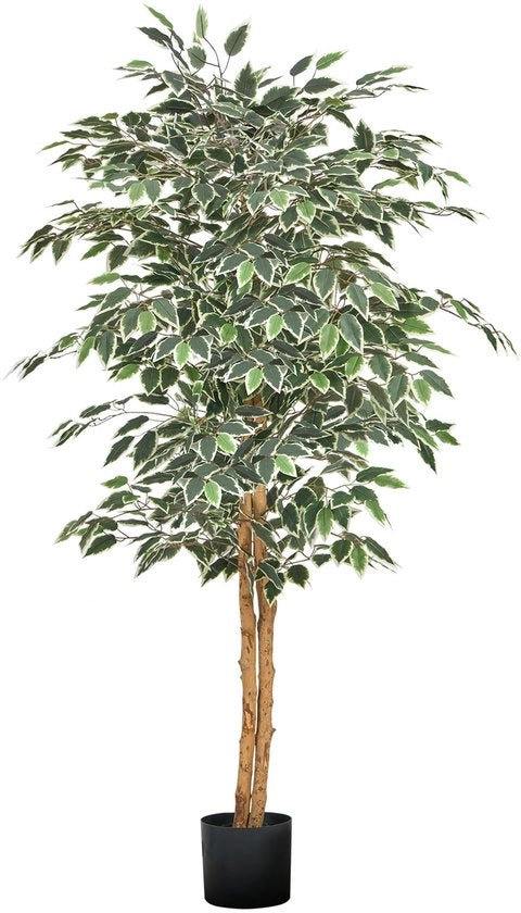 Ficus artificiale 150 cm con vaso nero, alta pianta d'arte con tronco di legno naturale e foglie di verde vivo, ideale per la decorazione interna in case, uffici, salotti o angoli.