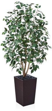 Ficus Artificiale 150cm - Grande Pianta d'Arte con Stelo di Legno Reale, Cestello di Rami Gevolti in Legno, Pianta di Arte UV-Resistente per Interno e Esterno - Ideale per Salotto, Balcone, Giardino