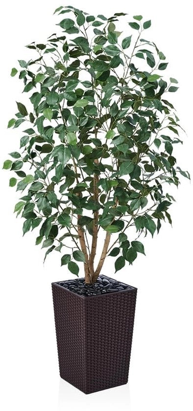 Ficus Artificiale 150cm - Grande Pianta d'Arte con Stelo di Legno Reale, Cestello di Rami Gevolti in Legno, Pianta di Arte UV-Resistente per Interno e Esterno - Ideale per Salotto, Balcone, Giardino