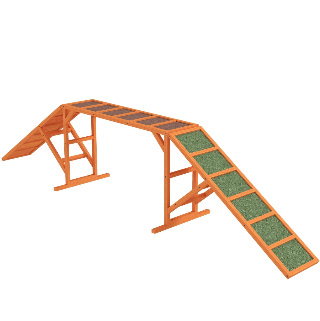 Rampa Agility per Cani con Superficie Antiscivolo