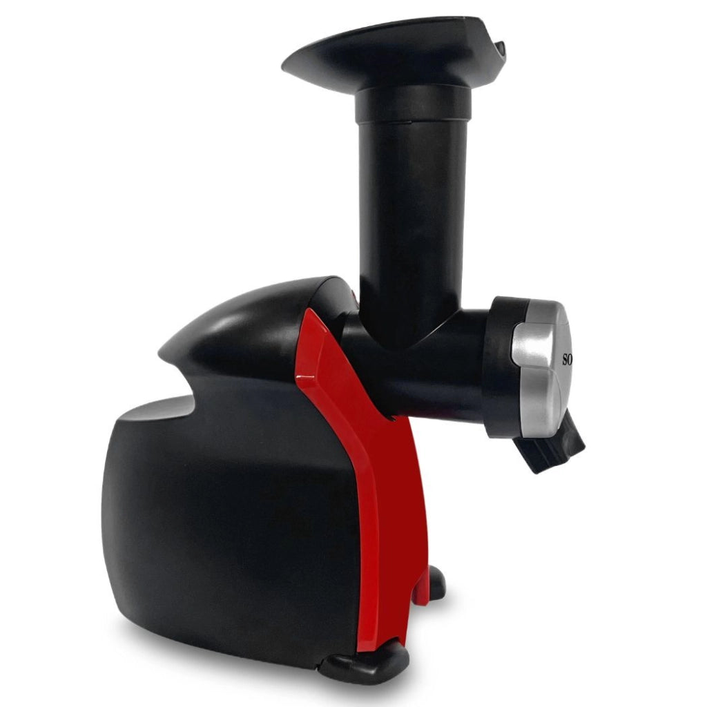 Macchina per gelato alla frutta congelata, prepara sorbetti e dessert sani senza zucchero, 250W con ricettario incluso - Sogo