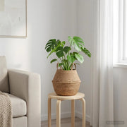Vaso da fiori con manici Naturale Ø 22 x 20 cm 100% Erba marina 42012254