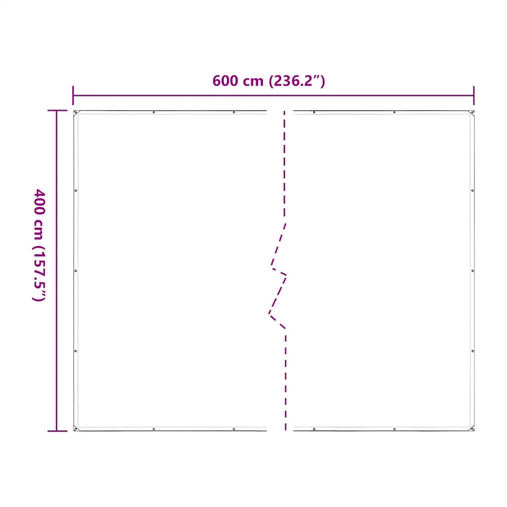 Telone Trasparente con Occhielli 4x6 m in Polietilene