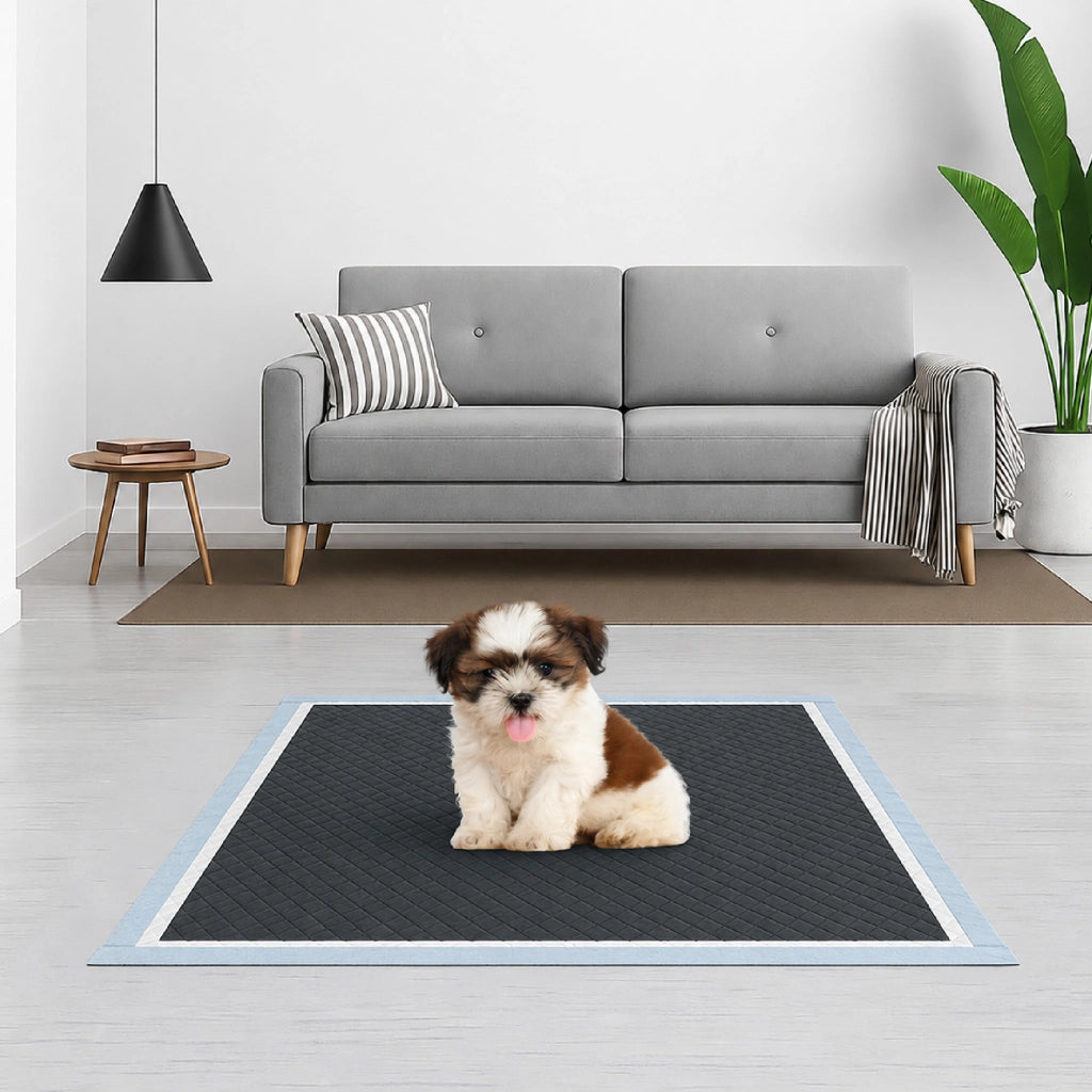 100 Pezzi Tappetini Assorbenti per Cani 60x60 cm con Carboni Attivi,Ultra Assorbenti Multistrato, Anti Odore, Fondo Impermeabile e Adesivi Antiscivolo, Traverse Igieniche per Cuccioli e Animali Domestici