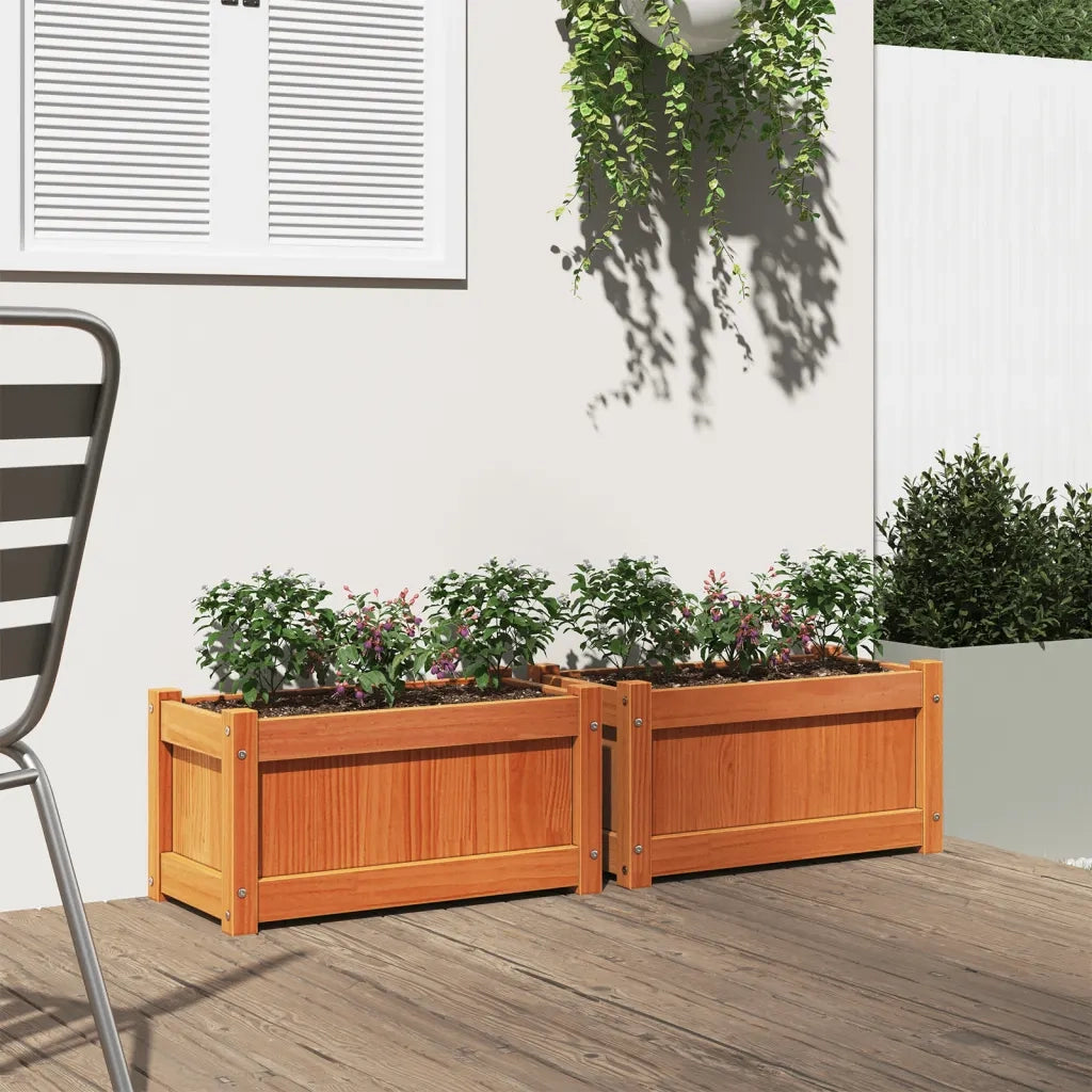 Fioriere da Giardino 2pz Marrone Cera Legno Massello di Pino 837444