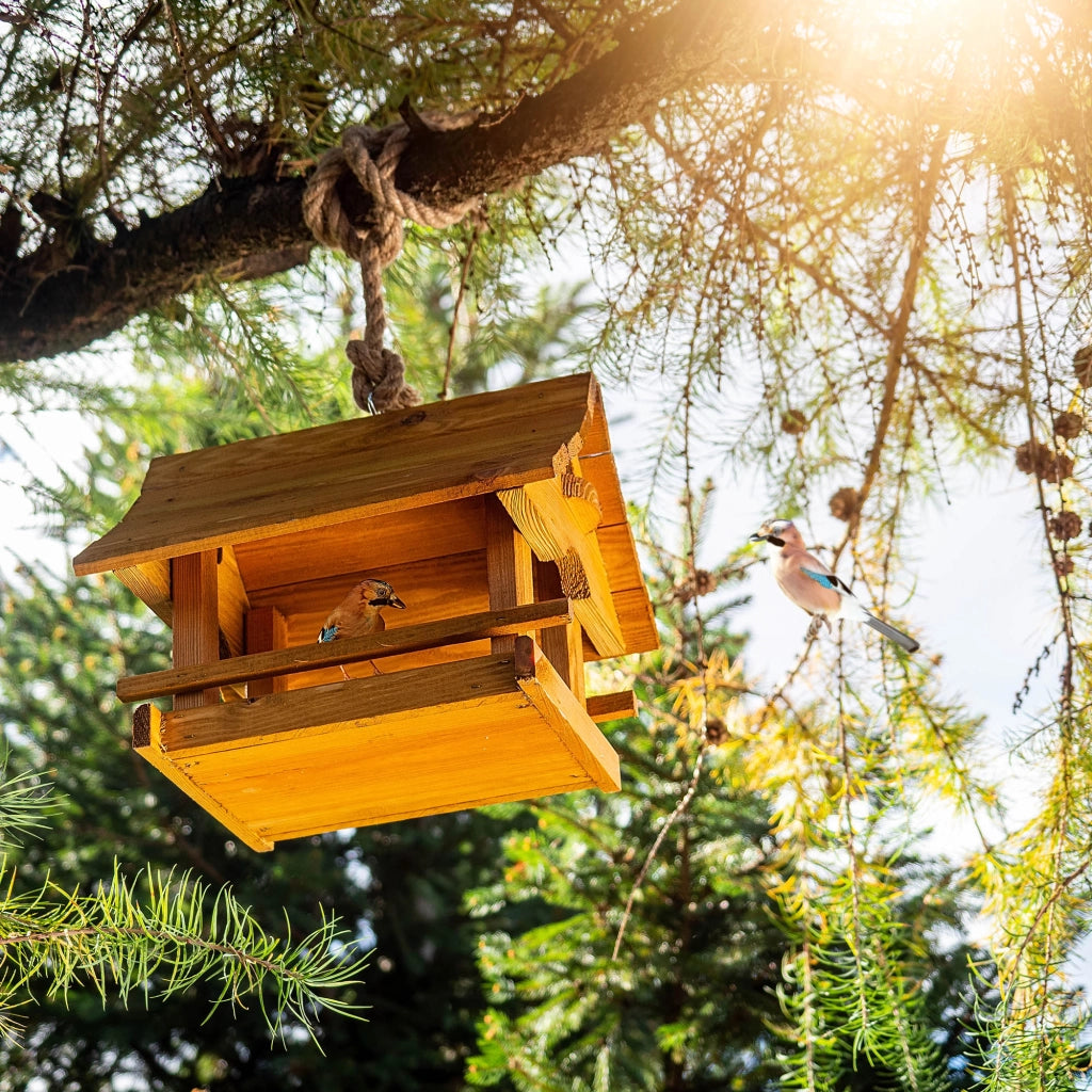 KADAX Grande mangiatoia per uccelli in legno da appendere, decorazione da giardino.