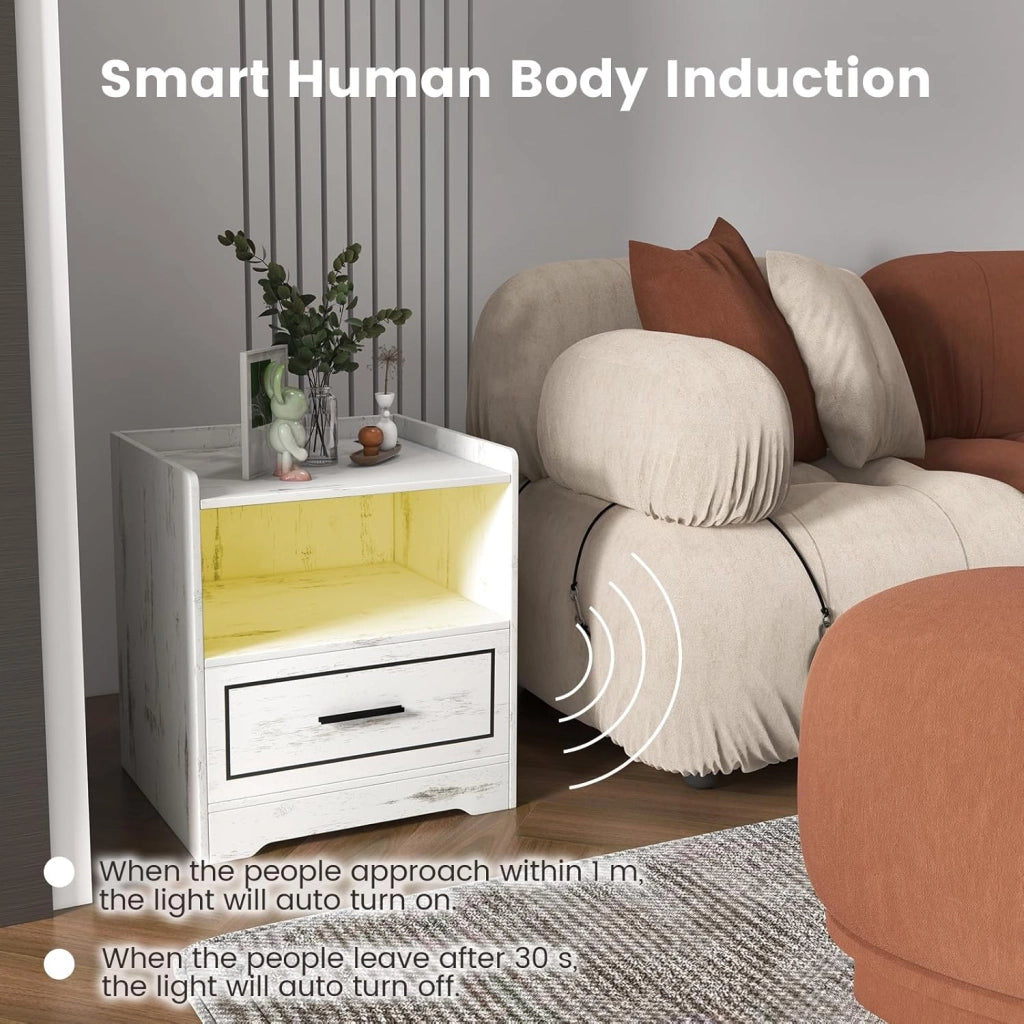 Comodino Camera da Letto con Porte USB e TYPE-C, LED Regolabile, Scomparto e Cassetto, Comodino Piccolo in Legno, Comodino Cameretta Moderno per Soggiorno, 45 x 40 x 50 cm (Bianco x 2)