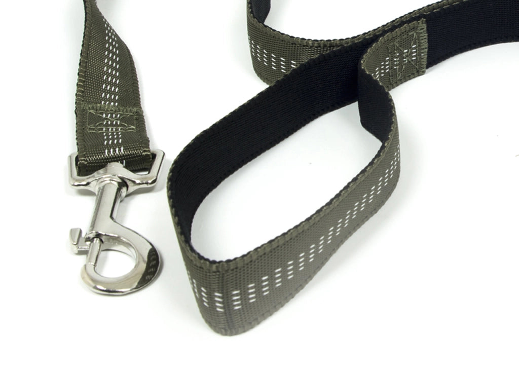 Guinzaglio Con Moschettone Per Animali Domestici Modello Color Doggy 120cm - 120cm - Verdone