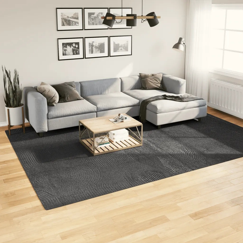 Tappeto del soggiorno | Tappeto IZA a Pelo Corto Aspetto Scandinavo antracite 240x340cm