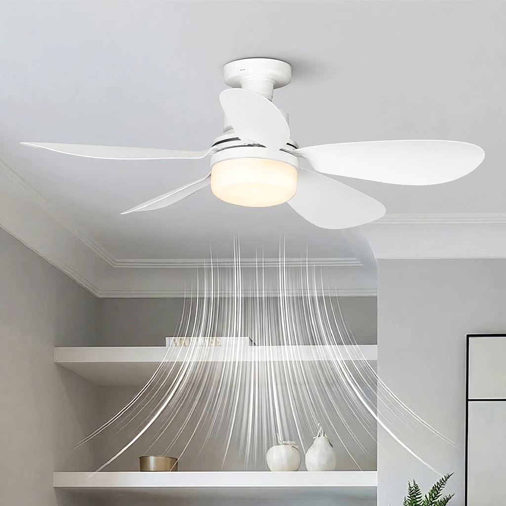 Lampadario Con Ventilatore da Soffitto con Luce LED E27 Avvitabile, Plafoniera con Ventola 2 in 1, Telecomando, 6 Velocità, Timer, Luce Dimmerabile 3000K-6000K, Silenzioso 51 cm