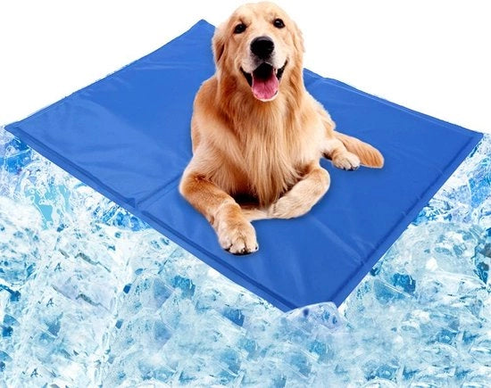Matraccia raffreddante per gatti e cani, coperta auto per auto, tappeto per auto (Dimensioni: 40x50 cm)