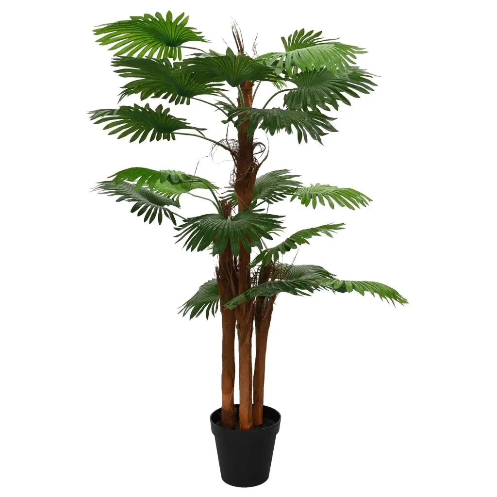 Albero di Palma Fan Artificiale Verde 60 x 25 x 170 cm CFW6407662