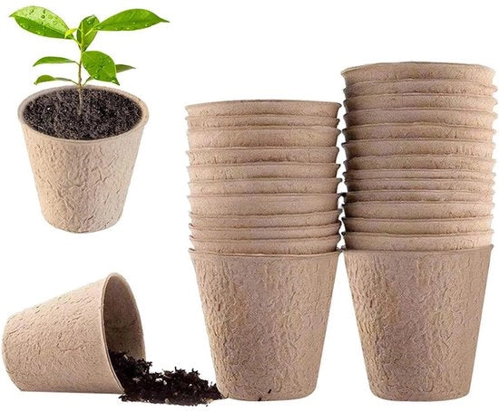 Set di semina per 20 contenitori di avviamento - Compostabile - Diametro 5,5 cm