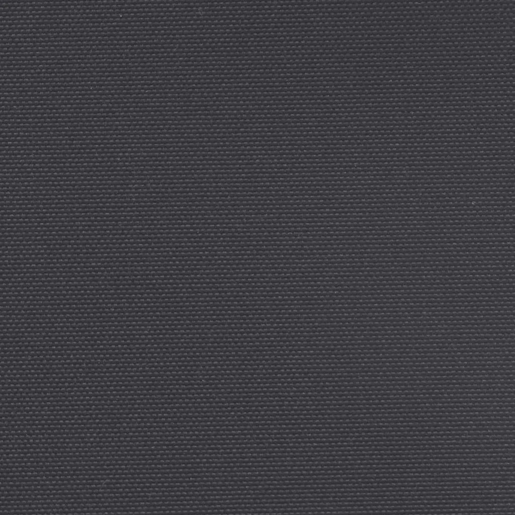 Tenda da Sole Laterale Retrattile Nera 160x600 cm 4004519