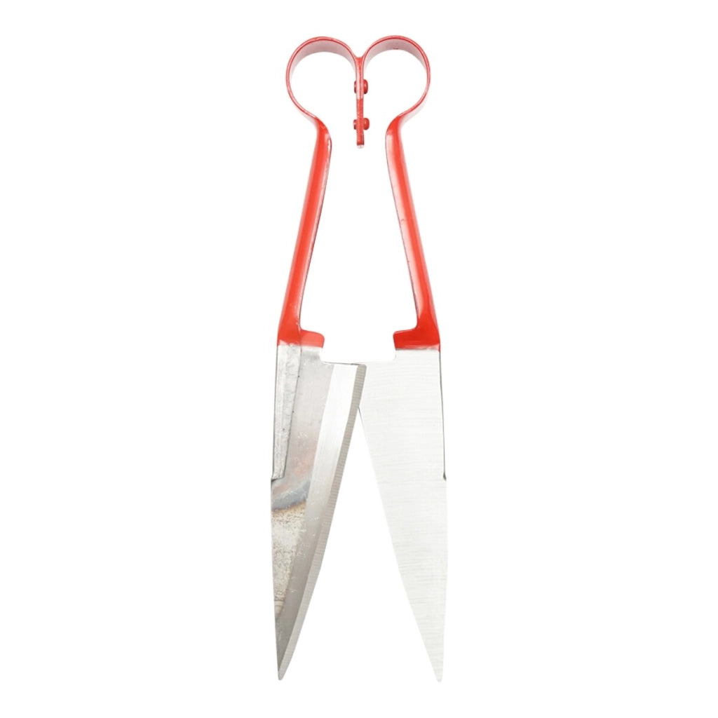Forbici PER TOSARE TOSA PECORE TOSATRICE MANUALE OVINI TOSATURA ANIMALI