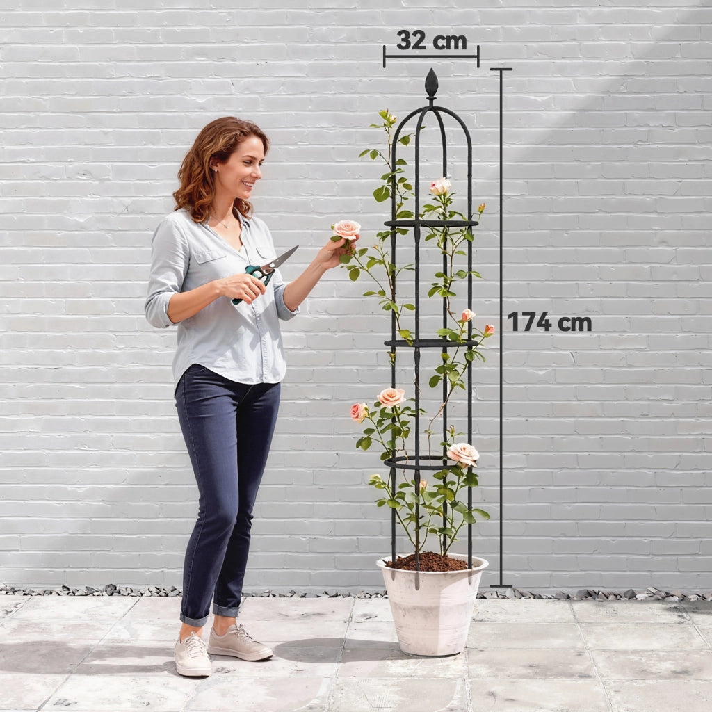 Set 2 Supporti per Piante Rampicanti Alti 170 cm in Acciaio Antiruggine Nero