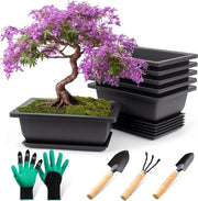 Set di 6 vasi bonsai con piedini per piante da giardino - Vasi di plastica per terrazza, soggiorno, balcone e ufficio