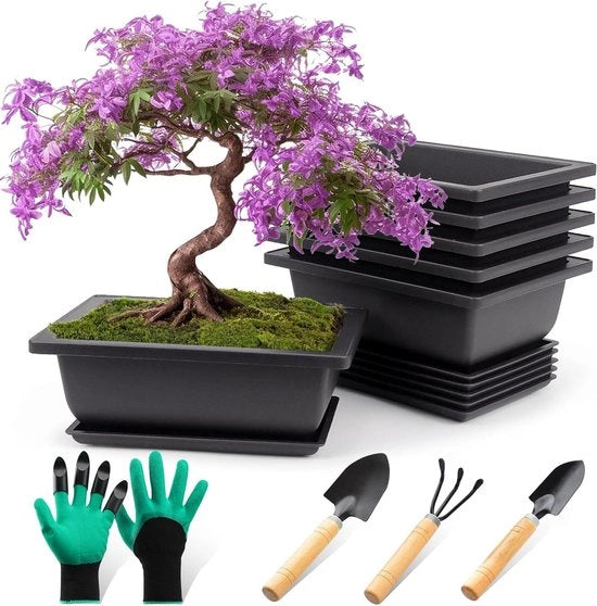 Set di 6 vasi bonsai con piedini per piante da giardino - Vasi di plastica per terrazza, soggiorno, balcone e ufficio