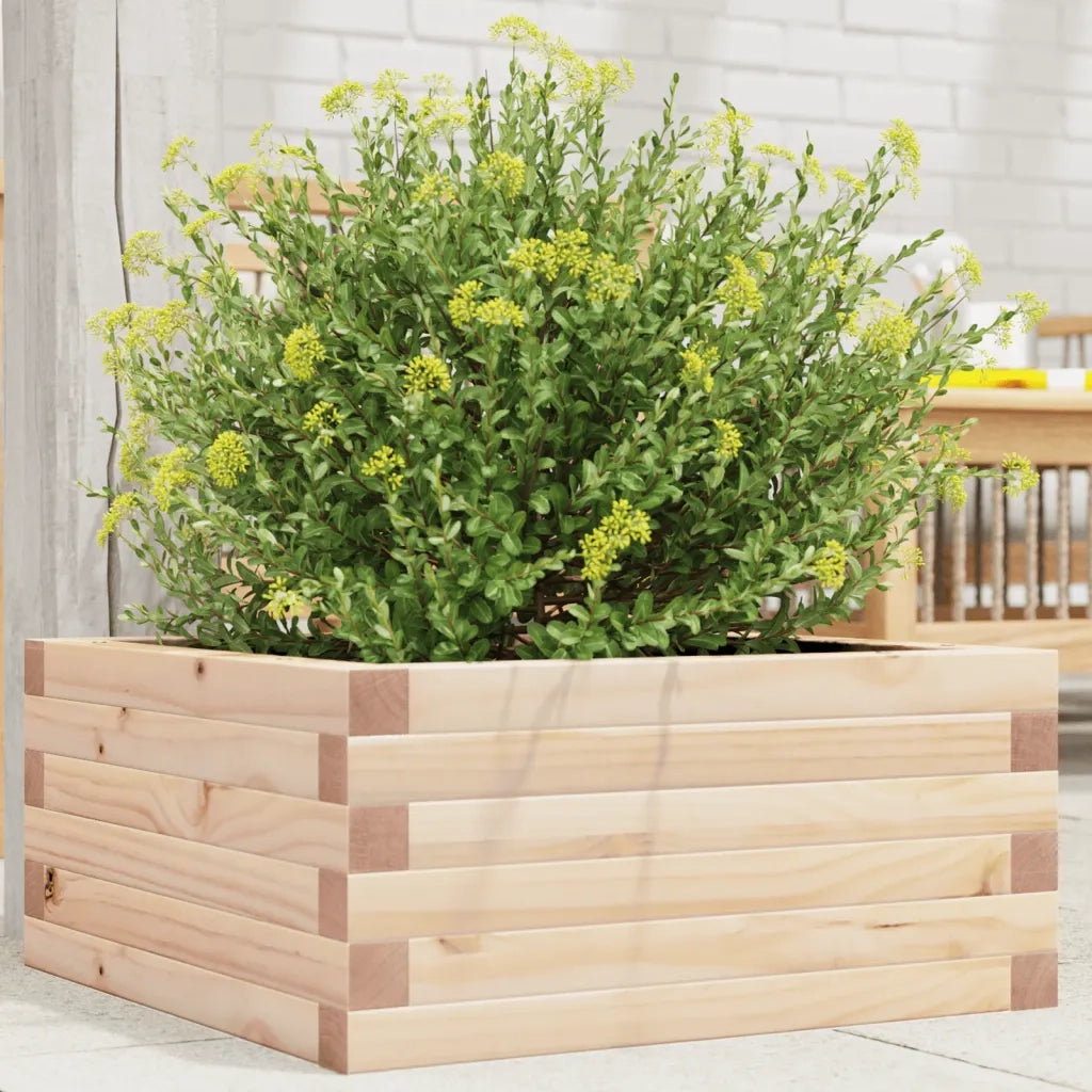 Fioriera da Giardino-Vaso da Esterno 50x50x23 cm in Legno Massello di Pino