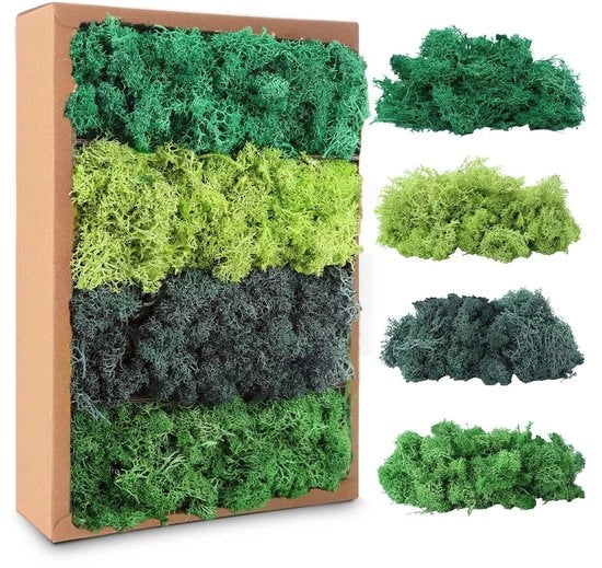 Materiale Decorativo Isolese - 200 g - Geconserveato - Materiale Decorativo per Fiori - Materiale Naturale - Decorazione Creativa DIY - 4 Tinte Verdi - Materiale Decorativo