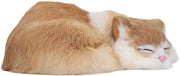 Modello di gatto in peluche realistico - Decorazione per interni - Immagine di gatto addormentato - Veloce pelliccia morbida - Gatto in peluche