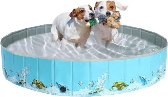 Piscina per cani - Piscina portatile in PVC per cani e bambini - 160 x 30 cm piscina per cani
