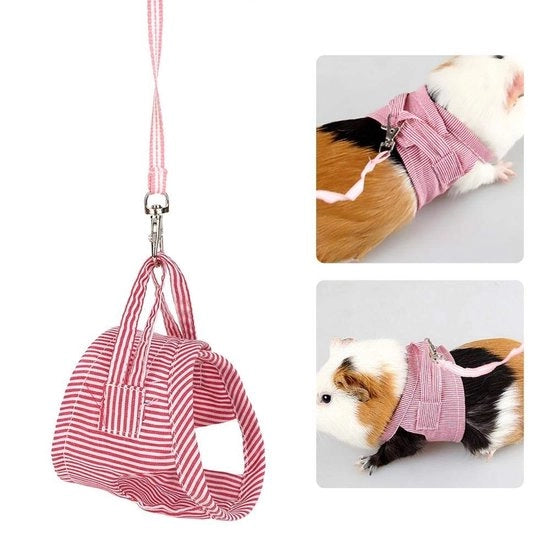 Set di cinture per animali da compagnia - Adattabile - Riemset - Cintura per passeggio all'aperto - Per piccoli animali - Taglia L - Adatto per cavi, scoiattoli, lepri, conigli e gatti.